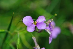 沾花惹草在线观看,一场浪漫纠葛的在线情感之旅 第3张 沾花惹草在线观看,一场浪漫纠葛的在线情感之旅 第3张