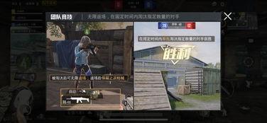 追击套最新爆料视频大全,追击套精彩瞬间大盘点